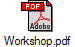 Workshop.pdf